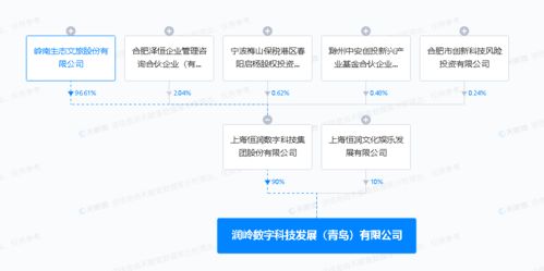 廣播電視節目制作經營 創意、規范與市場之舞